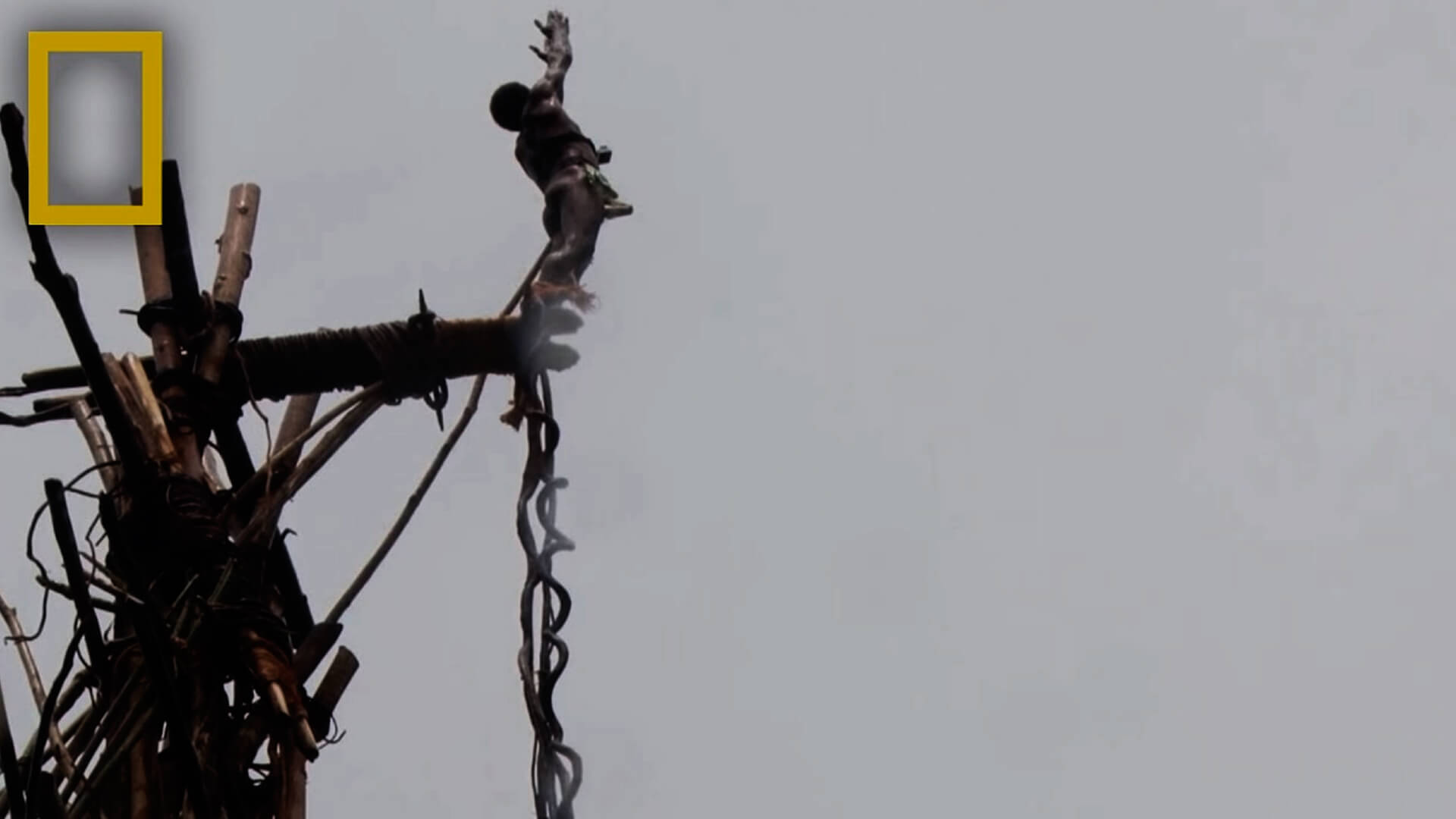 Imagem de um homem que pertence a tribo Bunlap saltando de uma estrutura feita de madeira e com cipós amarrados em seus pés. Este é um ritual da tribo.