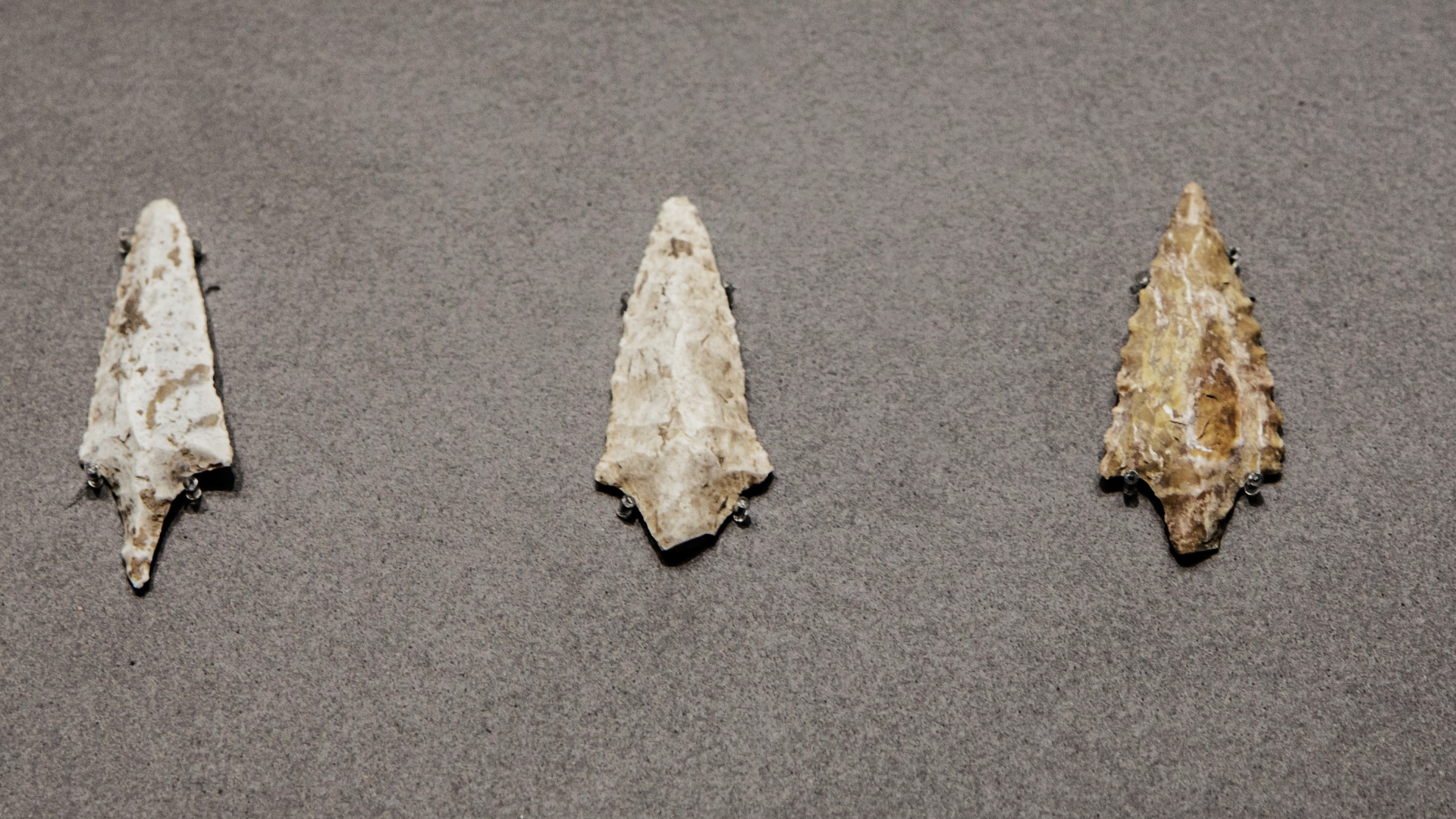 Imagem de 3 pontas de flecha feitas há muitos anos atrás. Essas pedras estão em um museu. A aparência lembra muito conchas.