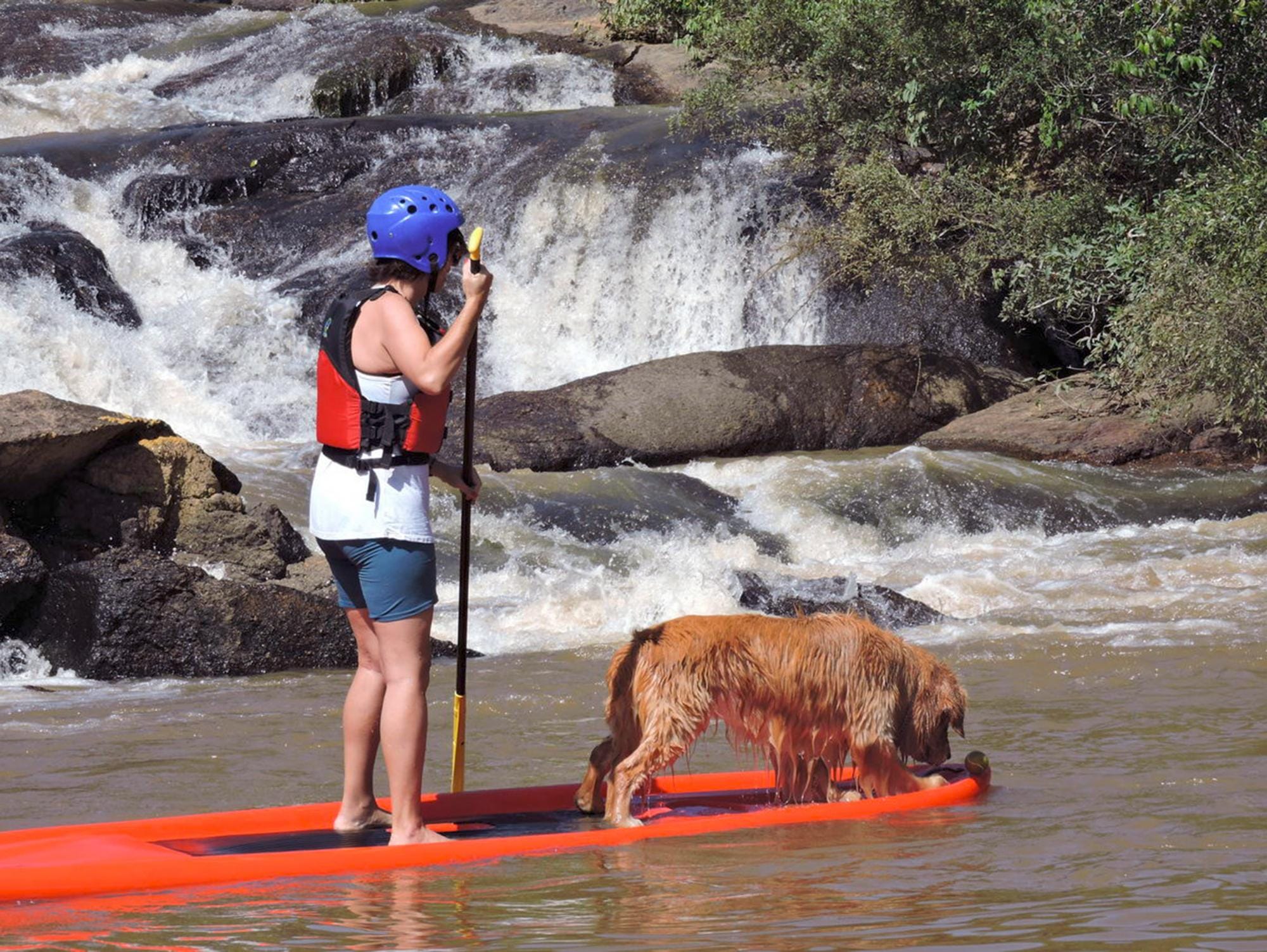 Na imagem, uma moça está em pé em uma prancha de stand up paddle junto de seu cachorro. Ela está na parte de trás da prancha, enquanto o animal vai na parte da frente.