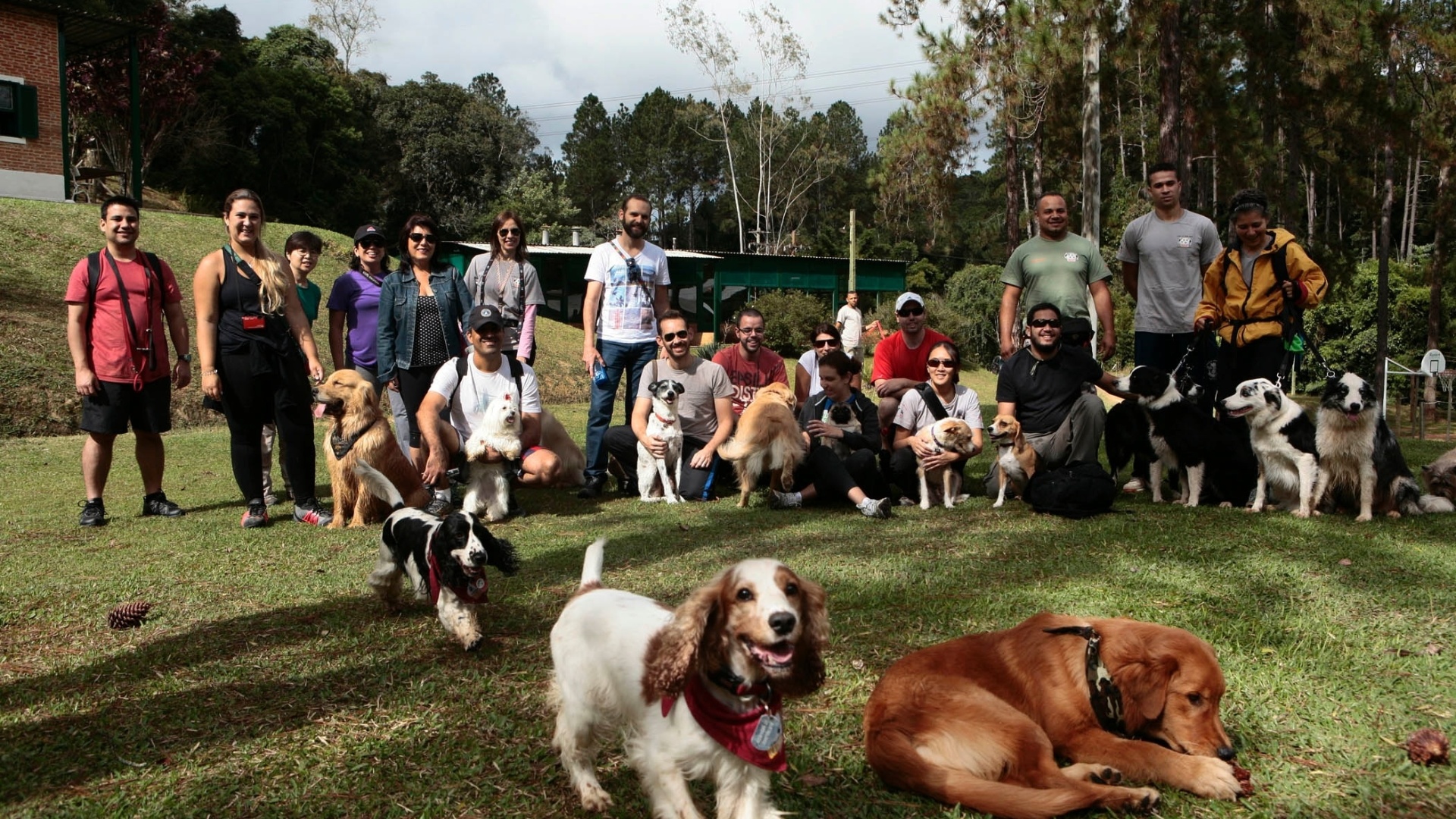 Na imagem, cachorros e seus donos posam para a foto, em um ambiente natural.