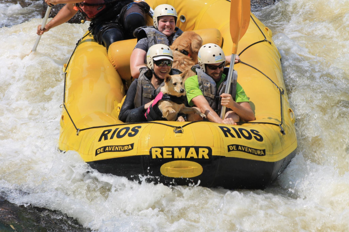 Na imagem, 4 pessoas e 2 cachorros descem uma corredeira de água sobre um bote de rafting.