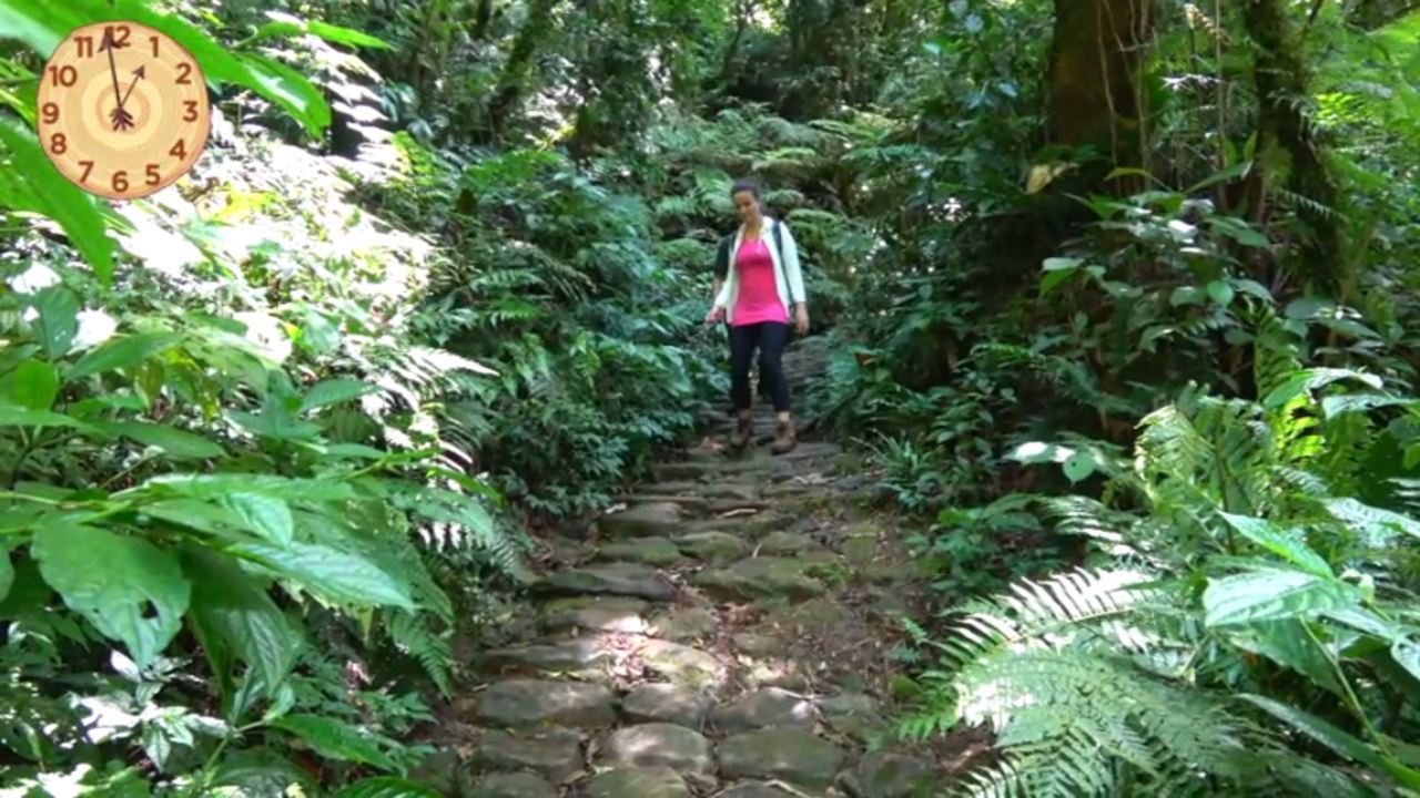 Na imagem, uma moca caminha na trilha do Caminho do Itupava. A trilha é montada sobre pedras, em volta desse caminho, tem muitas árvores. 