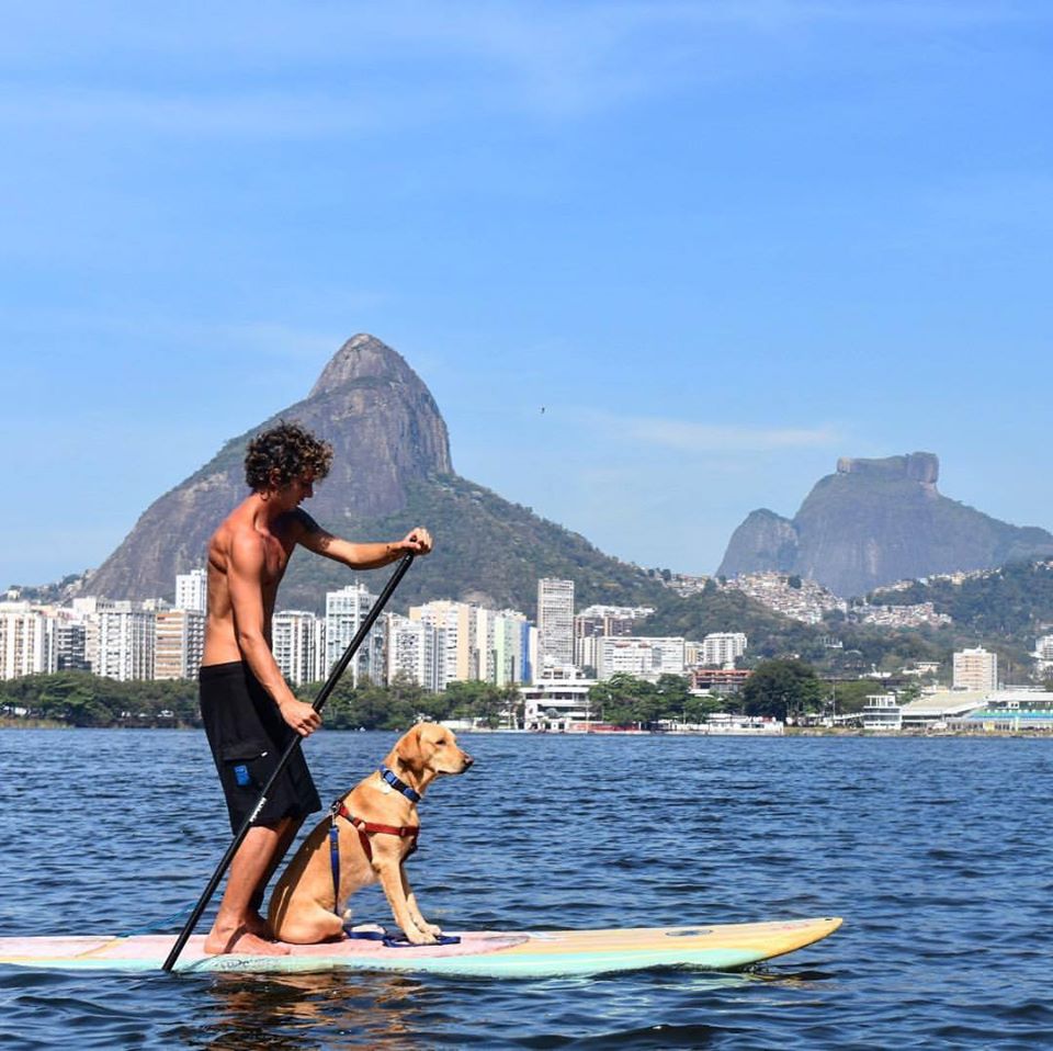 Na imagem, um cão e seu dono estão em cima de uma prancha de stand up paddle.