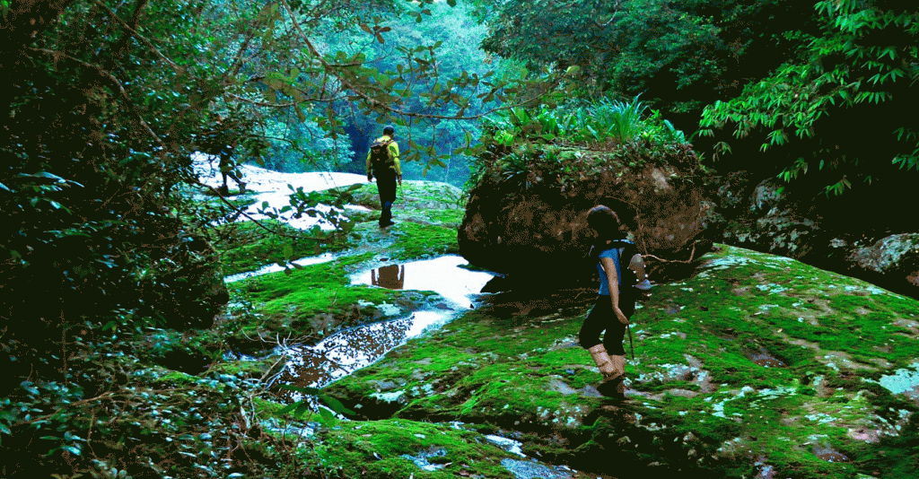 Na imagem, duas pessoas seguem uma trilha sobre as pedras. A trilha ecológica é em meio à natureza.