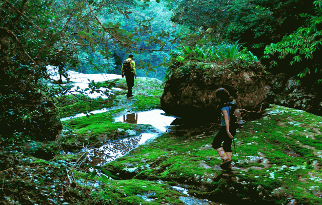 Na imagem, duas pessoas seguem uma trilha sobre as pedras. A trilha ecológica é em meio à natureza.