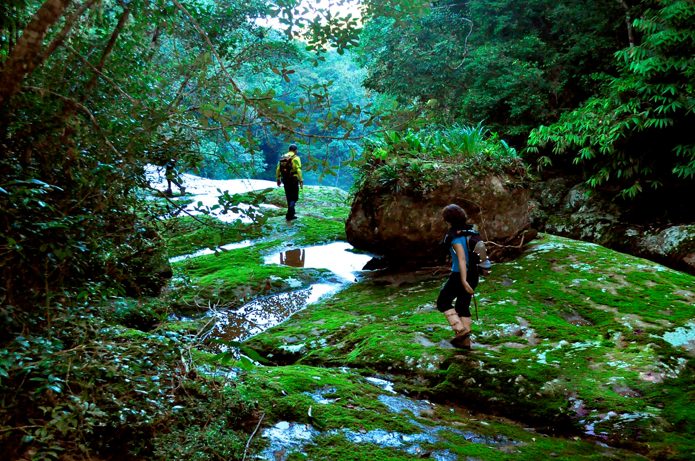 Na imagem, duas pessoas seguem uma trilha sobre as pedras. A trilha ecológica é em meio à natureza.