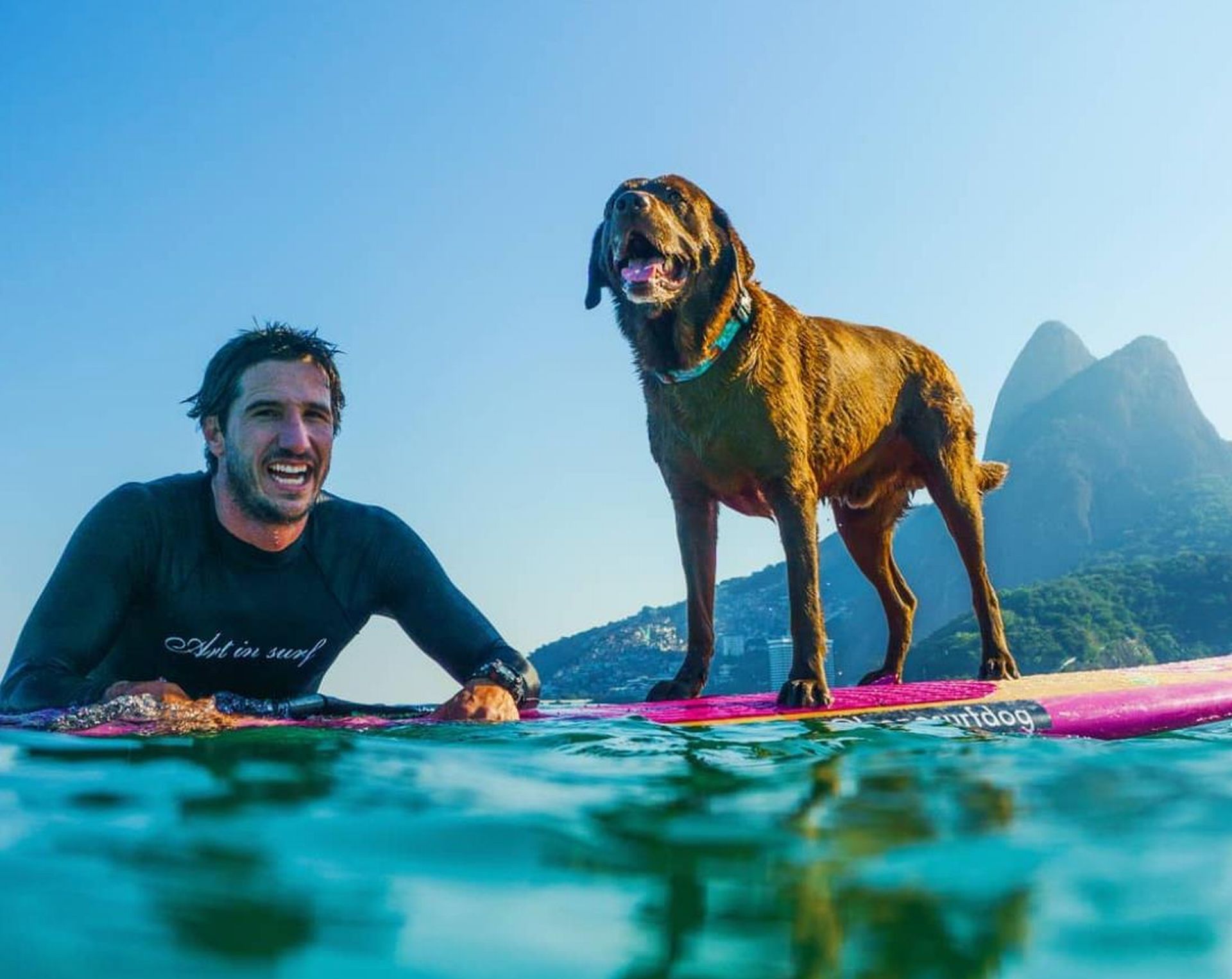 Na imagem, um cão está sobre uma prancha de stand up paddle com seu dono.